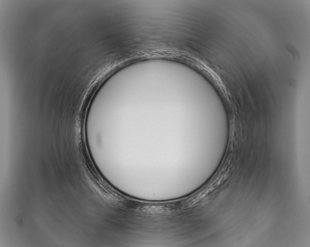 X0000111790298200907230954