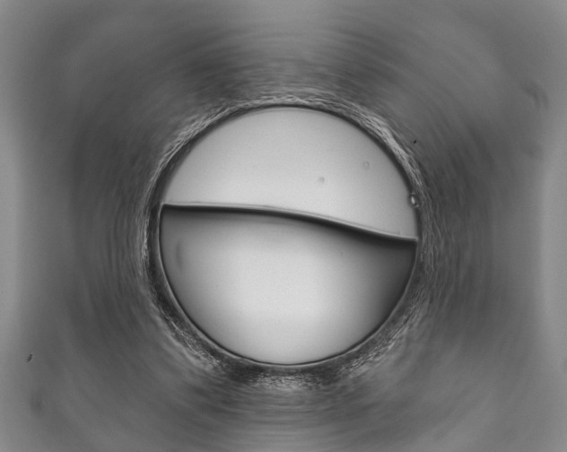 X0000111790299200907230954