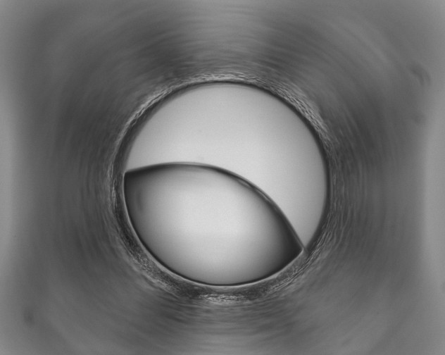 X0000111790300200907230954