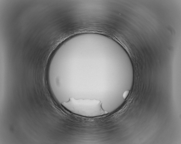 X0000111790301200907230954