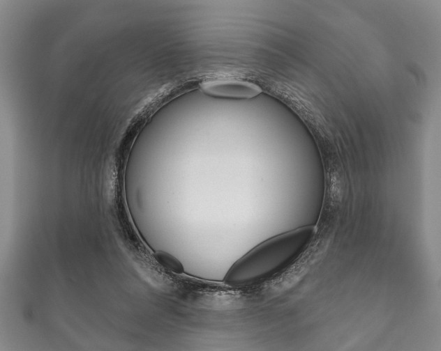 X0000111790304200907230954