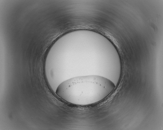 X0000111790305200907230954