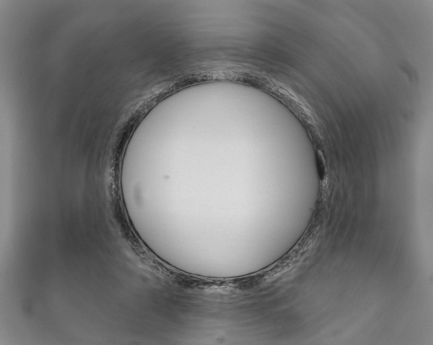X0000111790306200907230954