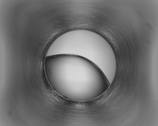 X0000111790308200907230954