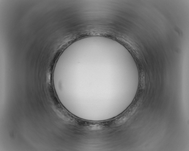 X0000111790310200907230954