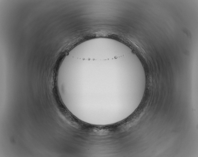 X0000111790311200907230954