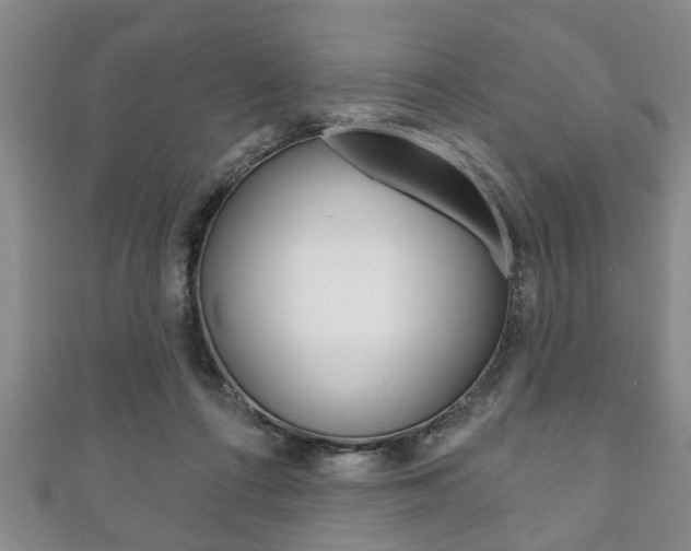 X0000111790312200907230954