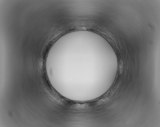 X0000111790314200907230954