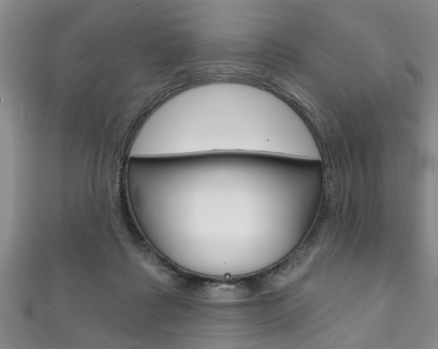 X0000111790315200907230954