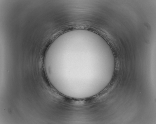 X0000111790318200907230954