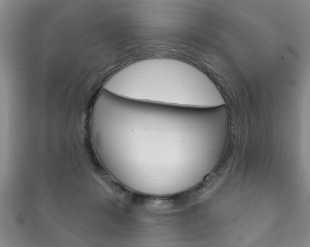 X0000111790319200907230954