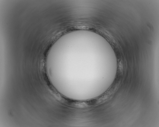 X0000111790322200907230954