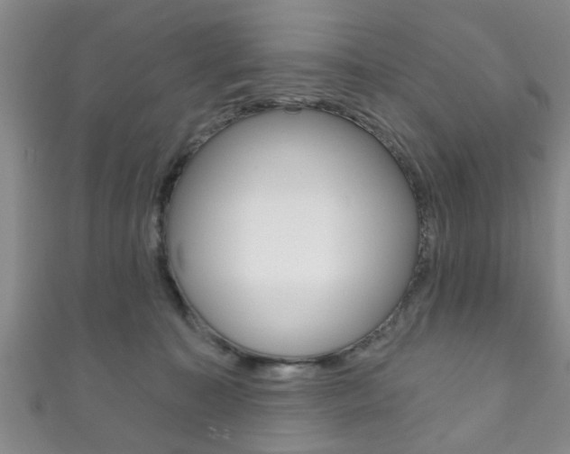 X0000111790323200907230954