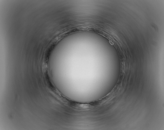 X0000111790324200907230954