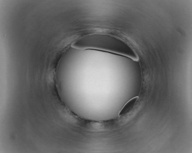 X0000111790325200907230954