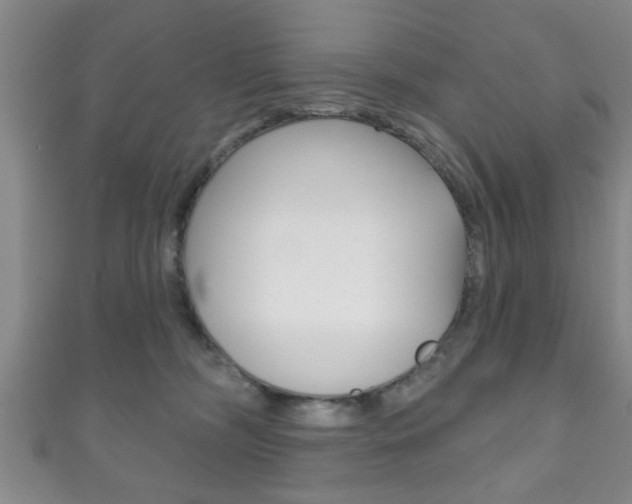 X0000111790326200907230954