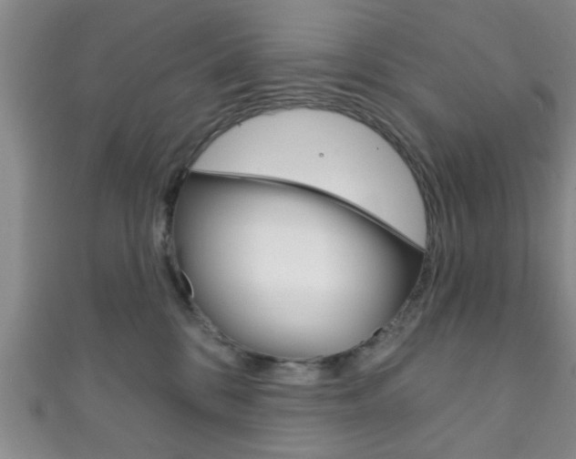 X0000111790328200907230954