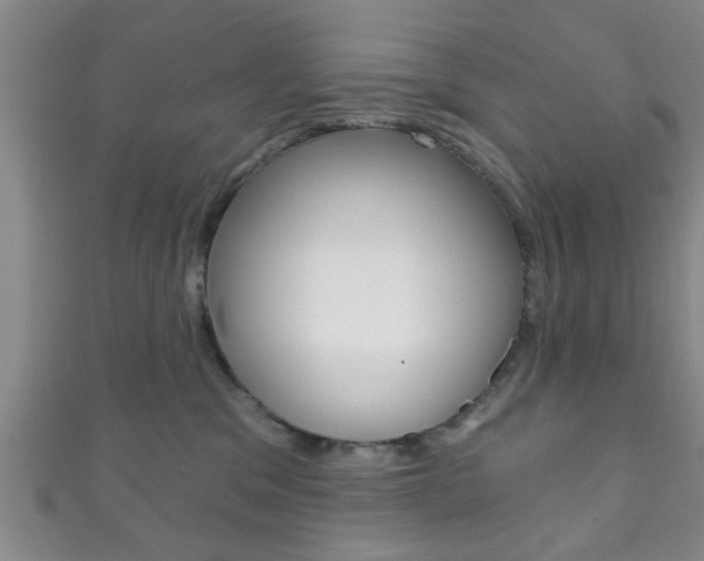 X0000111790329200907230954