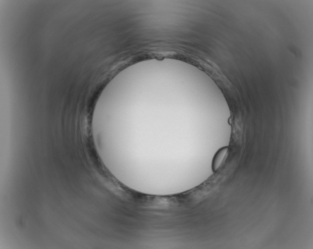 X0000111790330200907230954