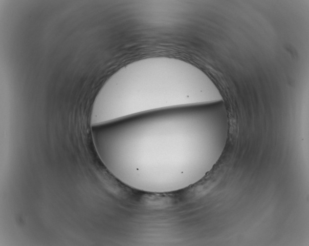 X0000111790331200907230954