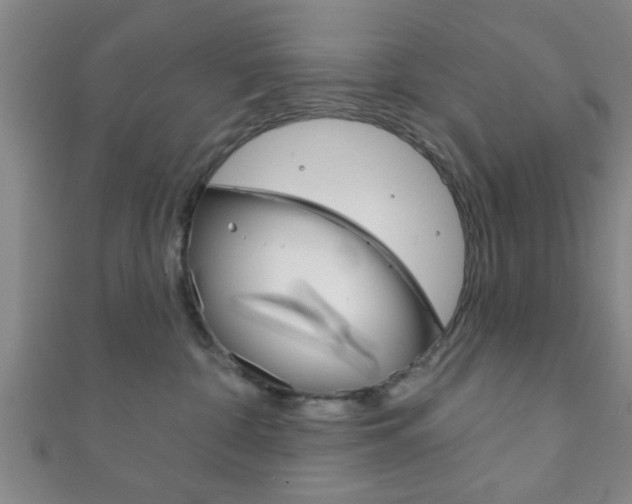 X0000111790332200907230954