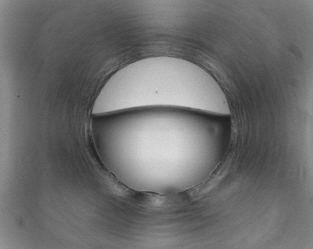 X0000111790333200907230954