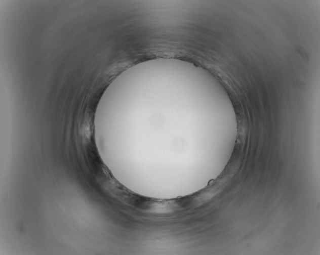 X0000111790334200907230954