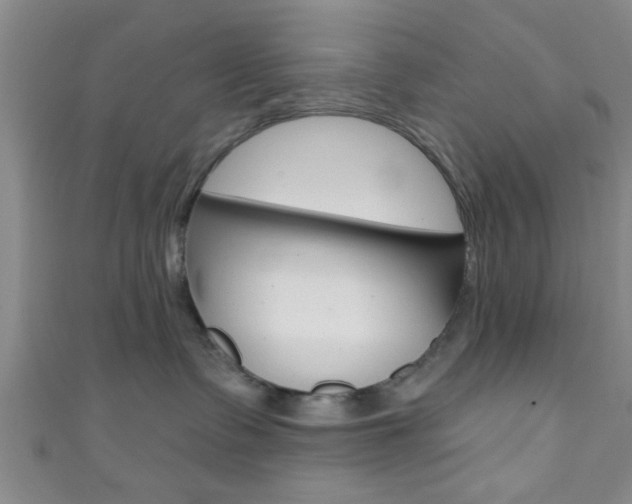 X0000111790335200907230954