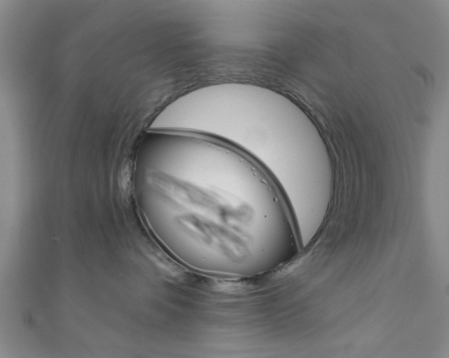 X0000111790336200907230954