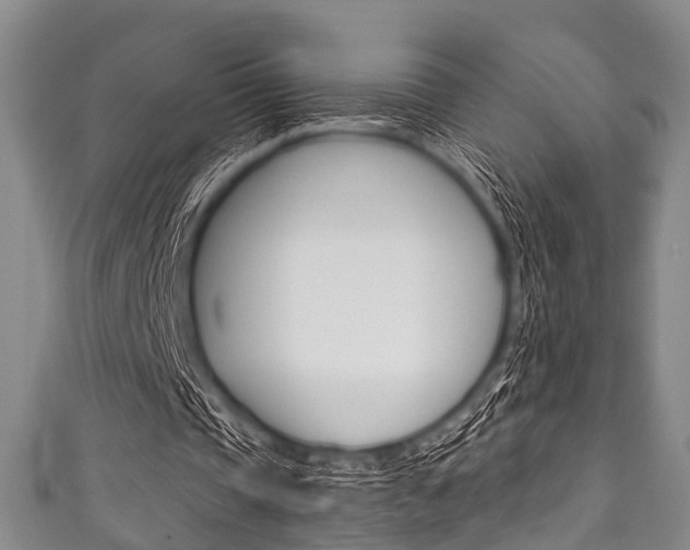X0000111790337200907230953
