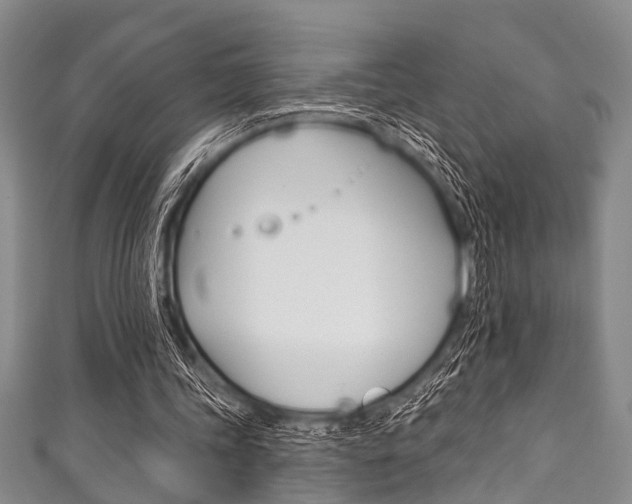 X0000111790339200907230953
