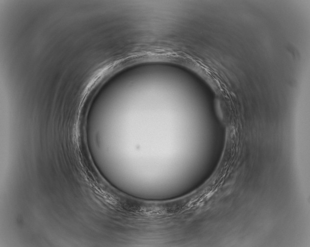 X0000111790340200907230953