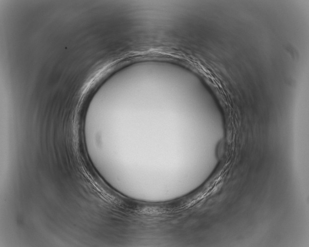 X0000111790341200907230953