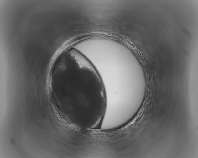 X0000111790343200907230953