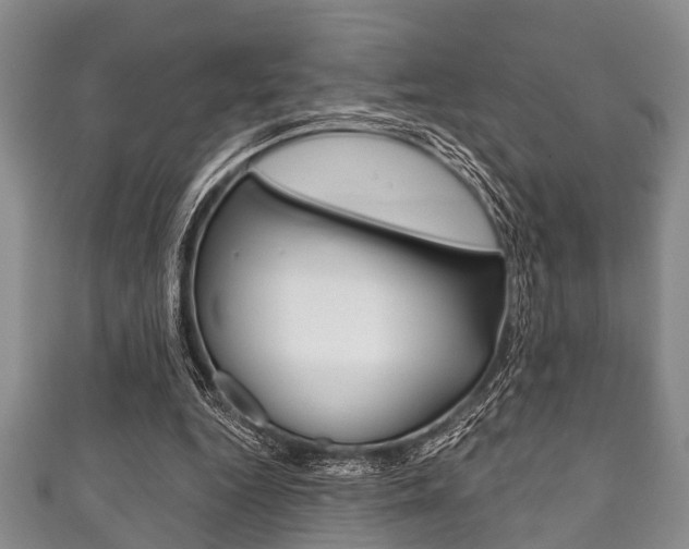 X0000111790344200907230953