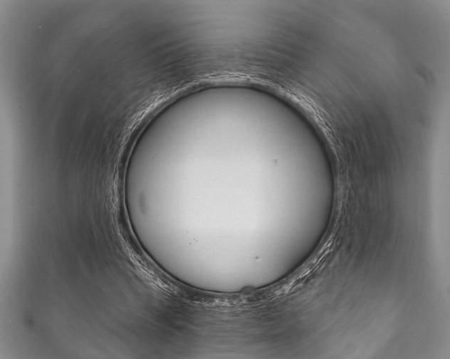 X0000111790345200907230953