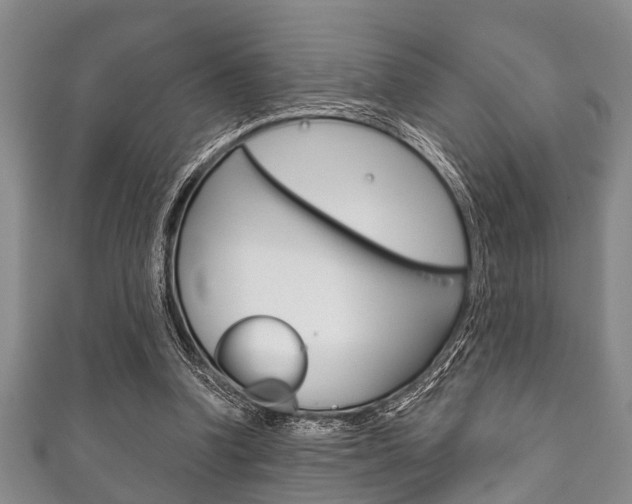 X0000111790346200907230953