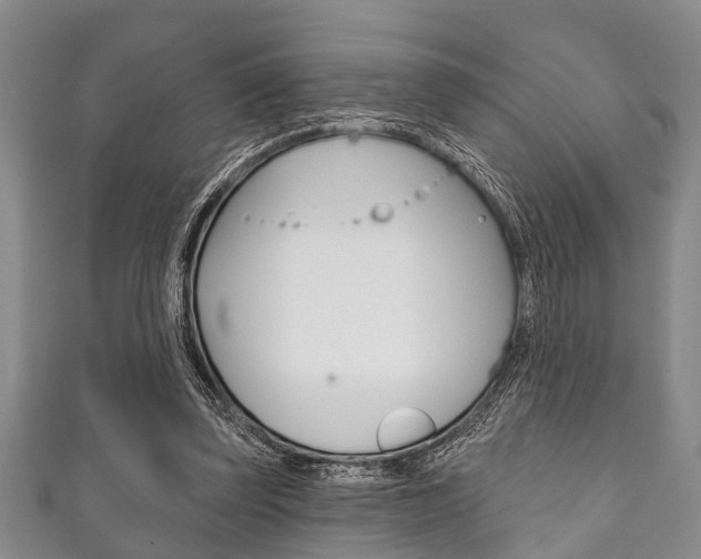 X0000111790347200907230953