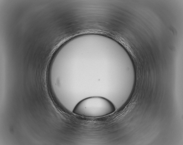 X0000111790348200907230953