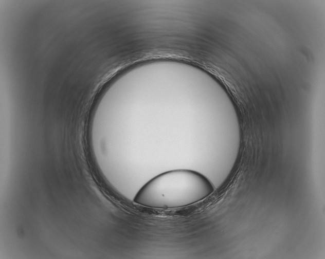 X0000111790352200907230953