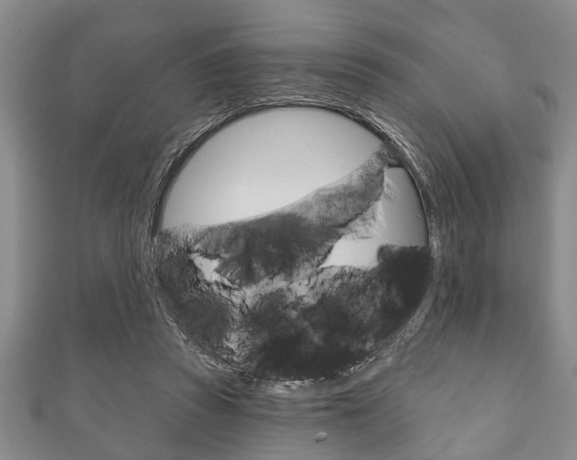 X0000111790353200907230953