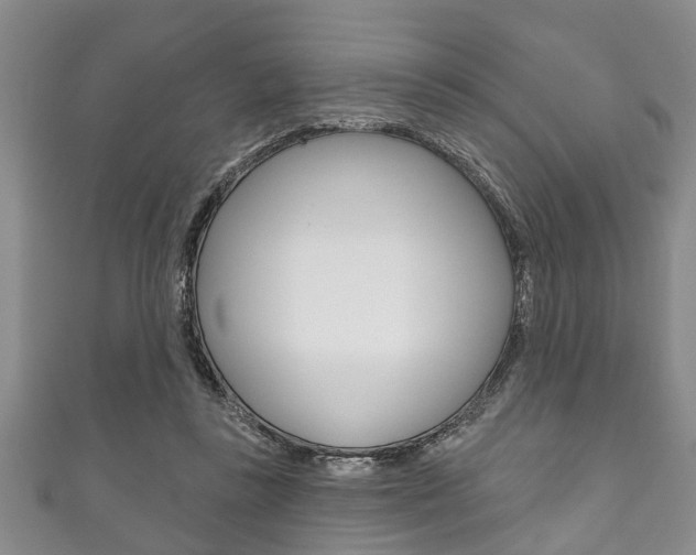 X0000111790355200907230953