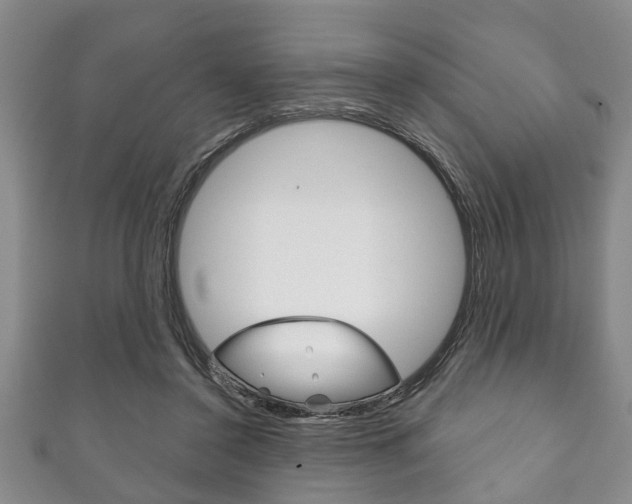 X0000111790356200907230953