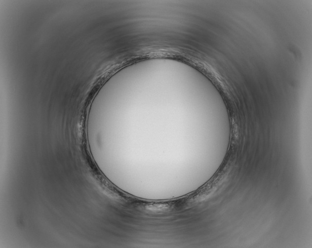 X0000111790357200907230953