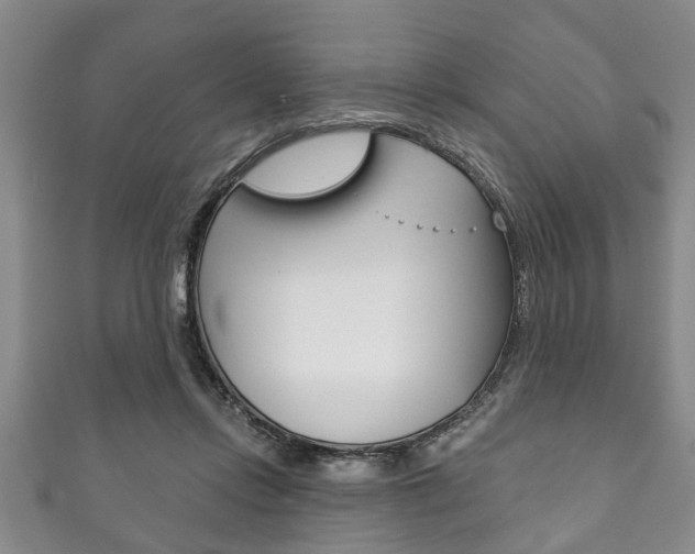 X0000111790358200907230953