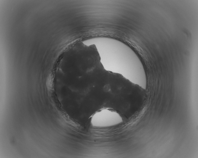 X0000111790359200907230953