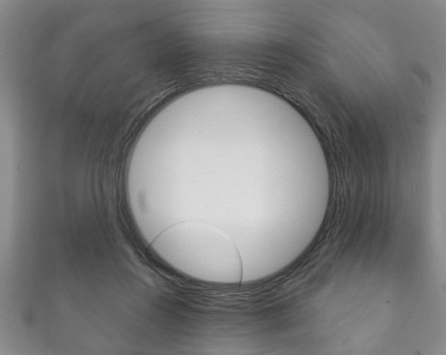 X0000111790360200907230953