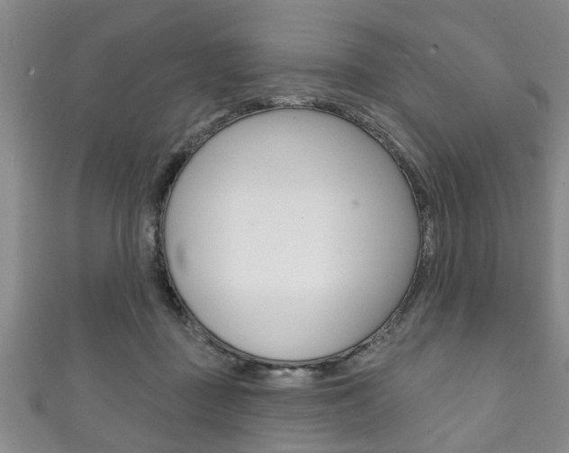 X0000111790363200907230954