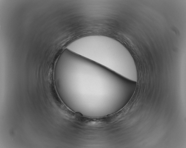 X0000111790364200907230954