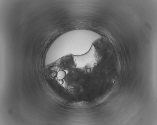 X0000111790365200907230954